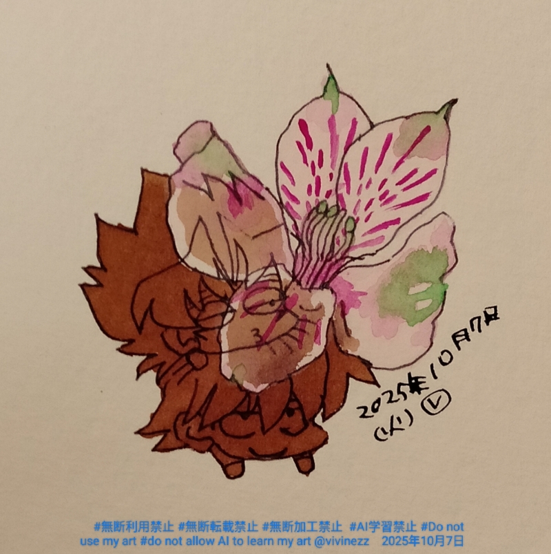 ӾǷˤӰǥޥꥯääƤ볨ξ˽Ťͤ줿֤γ֤μϥ륹ȥꥢ