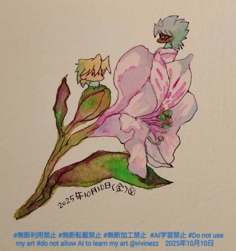 ֤Ӥξ˾ʤӰǥޥꥯ鲤ξ˾Ƿ⤬äƤ