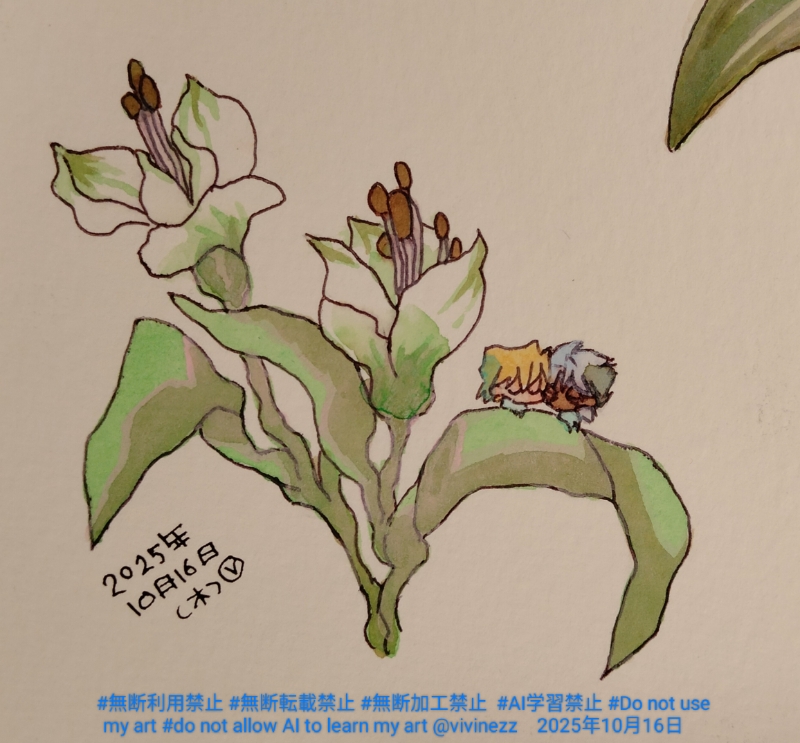 ���륹�ȥ���ꥢ�γ��������Ƥ�鲤��ա��դξ�ˤ��Ӿ�Ƿ��Ȥ��Ӱǥޥꥯ���ˤ�󤻹�äƺ¤äƤ���